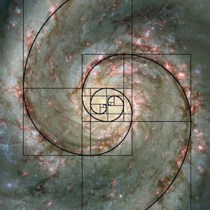 Meet your Posher, Noemi